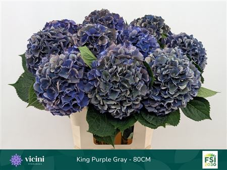 Hydr M Royal King Cl