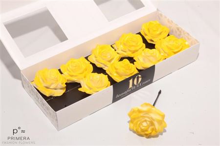 Roos Wax Yellow