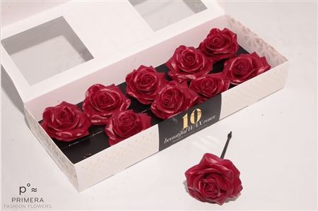 Roos Wax Bordeaux