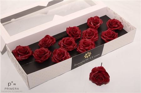 Roos Wax Bordeaux