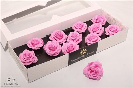 Roos Wax Pink