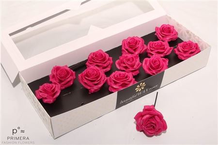 Roos Wax Cerise