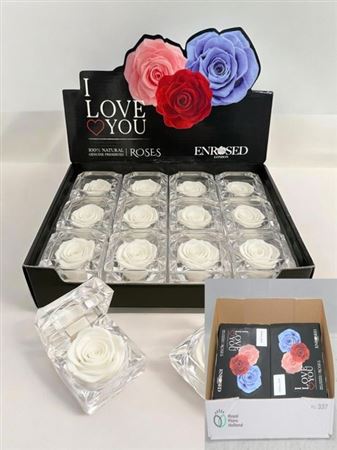 Diamond Roses White X24 Showcase