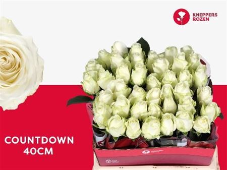 R Gr Countdown!