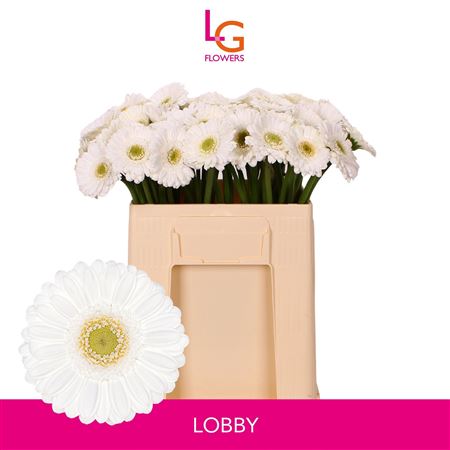 Ge Mi Lobby