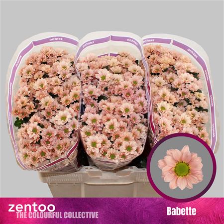 Chr S Babette