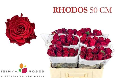 R Gr Rhodos