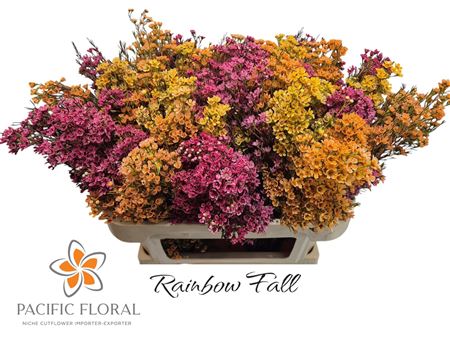 Chame Rainbow Fall