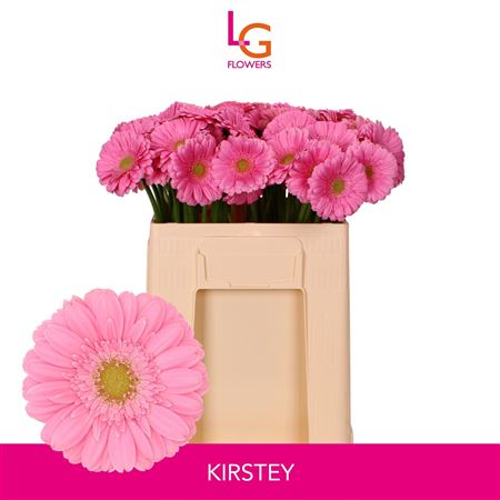Ge Mi Kirstey