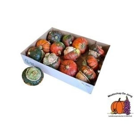 Cuc Turks Turban Mix