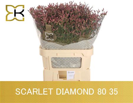 Lim Sin Scar Diamond