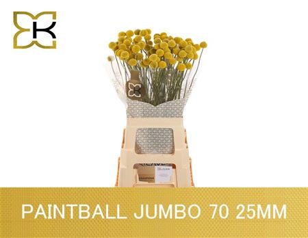 Cras Paintball Jumbo