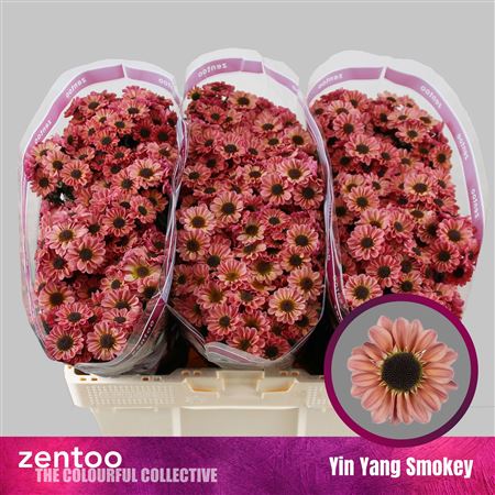 Chr S Yi Yan Smokey