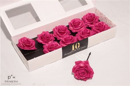 Roos Wax Cerise