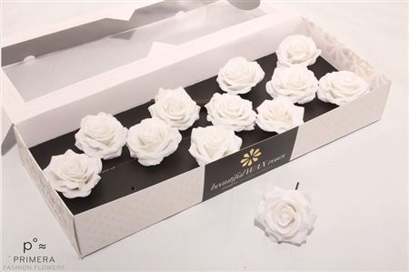 Roos Wax White