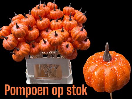 Pumpkin Orange - On A Stick
