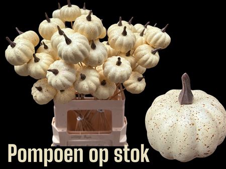 Pumpkin White - On A Stick