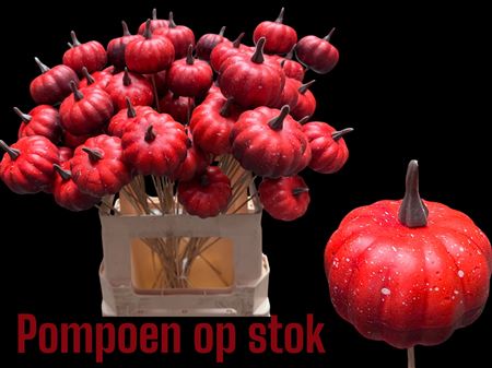 Pumpkin Red - On A Stick