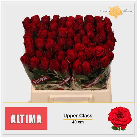 R Gr Upper Class